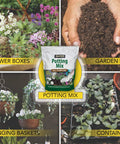 Collage showing All Purpose Premium Potting Soil Mix With Worm Castings For Indoor And Outdoor Containers, 4 Quarts used in gardening