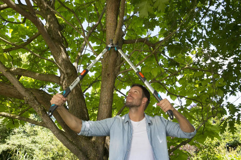 Man using Heavy-Duty Tree Loppers With Steel Blade And 35.5 Inch Handle, Telescoping TeleCut 650-900 B Pruner For Cutting Green Branches