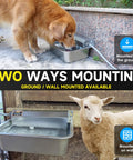 Slick Automatic Dog Water Dispenser With Hella Sturdy Two Gallon Stainless Steel Bowl For Indoor Outdoor Setup and Dead Simple Livestock Hydration Fitting Standard Faucet Adapters, showing ground and wall mounting options.