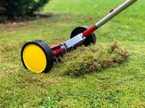 Multi-Change Roller Moss Removal Rake Tool Head For Lawn Care And Thatch Removal, red wheel-driven rake on grass close-up