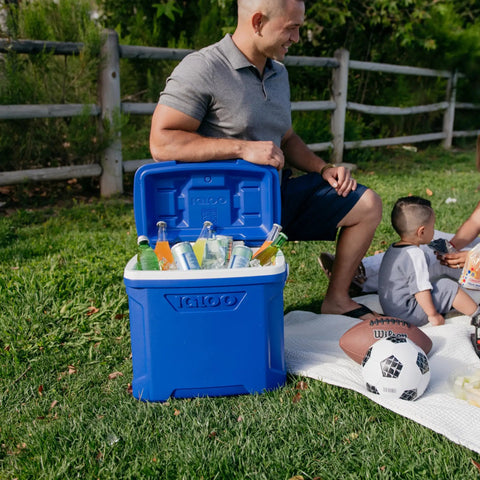 Heavy Duty Hardside Lunch Cooler 12 To 16 Qt Blue Profile open with bottles, picnic scene outdoors, fold-flat bail handle visible