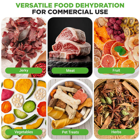 Electric Countertop Food Dehydrator With 900 Watt Motor And Ten Tier Stainless Steel Trays digital timer with jerky, meat, and vegetables