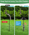 Before and after of 19 Inch Metal Squirrel Baffle for bird feeder poles; prevents squirrels from climbing hooks.