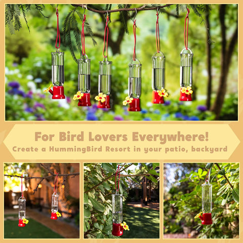 Set Of 6 Mini Hummingbird Feeders With Hanging Wires, Transparent Outdoor Hummingbird Feeder Set With Flower Shaped Sipping Outlet, Includes 3 Cleaning Brushes For Easy Cleaning On Patio, Lawn, Garden And Backyard.