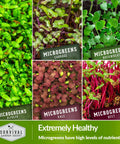 Indoor Microgreen Seeds Variety Pack With 10 Heirloom Types featuring alfalfa, cabbage, buckwheat, kale, and beet microgreens.