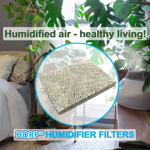 Two Pack Humidifier Filter Pad Replacement For Lennox Healthy Climate 35 X2661 displayed alongside indoor plant setup