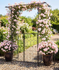 Garden Arbor With Gate And Planter, Metal Arch Trellis With Double Doors, 79 Inches Wide By 81 Inches High, roses climbing