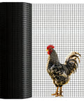 Kickass Black Hardware Cloth 1/2 Inch By 24 Inches By 50 Feet Long 19 Gauge Premium Grade Welded Steel Wire Mesh Roll next to a rooster.