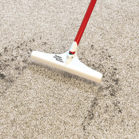 12 Inch Carpet Rake And Groomer With 51 Inch Reach Handle on cut pile carpet, loosening embedded soil and hair before vacuuming.