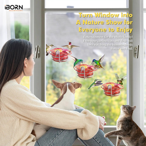 Window Hummingbird Feeder Three Pack With Strong Suction Cup And Stainless Steel Base, 3.4 Oz Capacity, Attached to Window