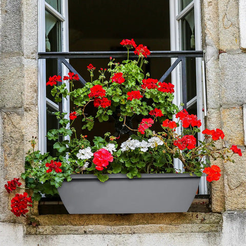 plastic window box planters Six Pack 24 Inch Window Box Planters With Shelf Insert ✓