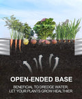 Galvanized Raised Garden Bed Kit Oval 4x2x1 Ft Outdoor Planter Boxes for Vegetables showing open-ended base with planted vegetables