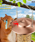 Chew Proof Metal Bird Feeder For Outdoors With Copper Finish Holds About One Point Three Two Pound Seed Three Perches Squirrel Proof Roof And Tray Weather Resistant Hanging Cardinal Feeder Seed Not Included with squirrel