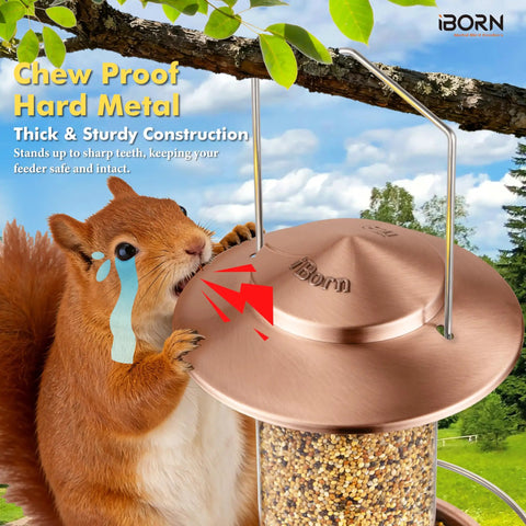 Chew Proof Metal Bird Feeder For Outdoors With Copper Finish Holds About One Point Three Two Pound Seed Three Perches Squirrel Proof Roof And Tray Weather Resistant Hanging Cardinal Feeder Seed Not Included with squirrel