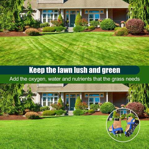 Lawn Aerator Shoes With Spikes, Classic Durable PP Sole Footwear, Includes Stainless Steel Shovel And Wrench, 11.5 Inch Long By 5 Inch Wide, Black Blue in use on a green lawn background.