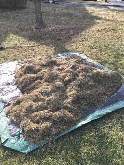 Drawstring 9x9 Tarp For Leaves And Outdoor Use With Cinch Bag Easy Cleanup Heavy Duty Cover Tarp loaded with leaves on grass