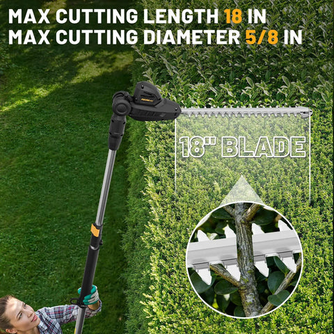 Cordless Pole Hedge Trimmer With 14-Foot Reach And 18-Inch Cutting Head, trimming tall hedges, highlighting 18-inch blade.