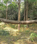 12ft Nylon Hammock Sleeve Snakeskin Cover Ultimate Outdoor Hammock Protection Bag in a forest setting.