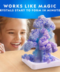 Girl watching Crystal Growing Tree Kit For Kids with six-hour crystal growth in progress