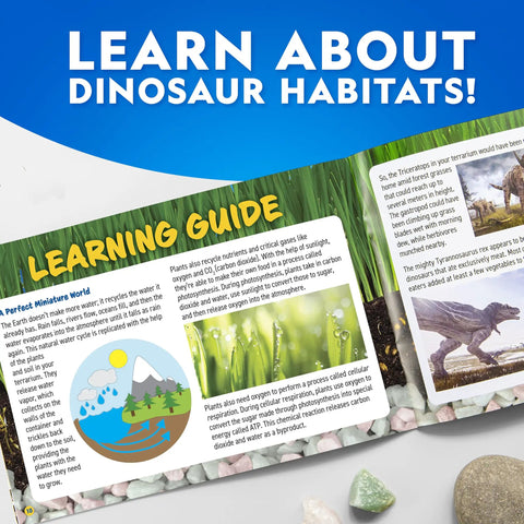Light Up Dinosaur Terrarium Science Kit For Kids With Never Dry Sand Dino Figures A Backdrop And Gems learning guide page