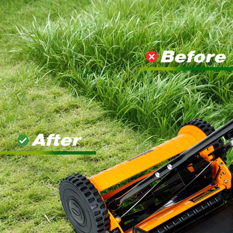 16 Inch 5 Blade Push Reel Lawn Mower With Removable Seven Point Nine Gallon Grass Catcher showing before and after grass cut