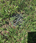 4 Inch Plastic Round Drainage Grate Cover No Fuss Debris Guard Fits 4 Inch Pipes installed in a grassy lawn area