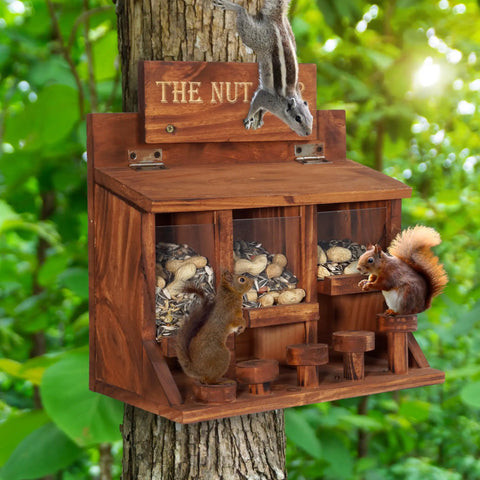 Wooden Squirrel Picnic Table Feeder With Multi Compart ment Seed Storage And Five Level Bar Stools Durable Outdoor Squirrel Feeder For Corn Cobs And Mixed Seeds Stable Table Style Wildlife Feeder 12.2 X 6.6 X 12.2 Inches mounted on tree with squirrels