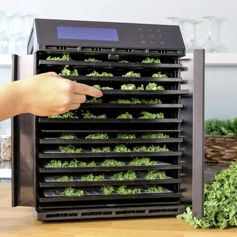 Super Durable 10 Tray Electric Food Dehydrator Featuring Smart Digital Interface And Quick Dual Drying Zones For Hella Tender Jerky Dry Veggies And Aromatic Herbs Designed For No Sweat Operation with kale on the trays.