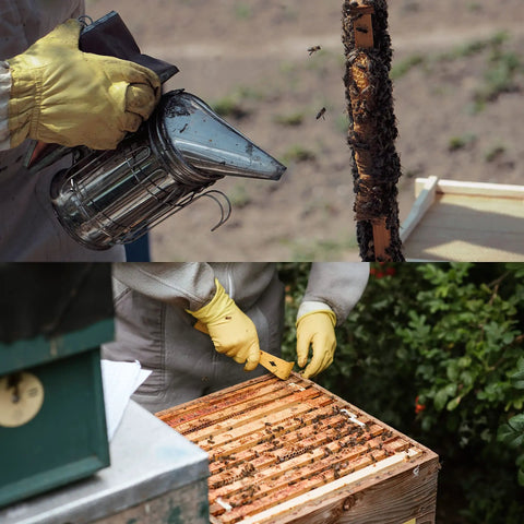 All In One Beekeeping Starter Kit With Bee Smoker And 16 Handy Tools For Beekeepers in use at a hive with bees.