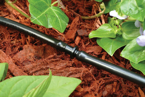 Rain Bird 1/4-inch drip tubing barbed coupling fitting on black irrigation tube, close-up by mulch