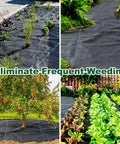 Heavy Duty 3.2oz Weed Barrier Landscape Fabric 3FT X 50FT Ground Cover in garden and farm settings, suppressing weeds.