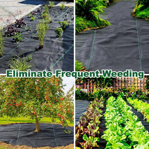 Heavy Duty 3.2oz Weed Barrier Landscape Fabric 3FT X 50FT Ground Cover in garden and farm settings, suppressing weeds.
