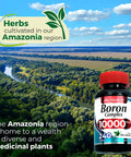 Ultra High Absorption Boron Supplement 10 mg Per Serving 240 Servings Supports Bone Health Hormone Balance bottle in Amazonia