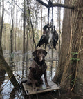 Rugged Paracord Bird Tote Carrier With 12 Drop Slip Ring System holding ducks on tree branch in a swamp with a dog