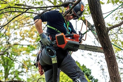 Arborist using Quick Cinch Chainsaw Lanyard With Double End Attachments 60 Inch Reach for safety while climbing tree