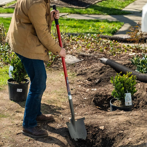 Person using XL Round Point Digging Shovel For Heavy Duty Gardening And Yard Work With Fiberglass Handle Steel Spade Serrated Edge Red