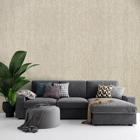 Living room with Terraces Natural Paper Weave Wallcovering 36 Inch Wide 8 Yard Roll Biscotti Color, grasscloth texture backdrop.