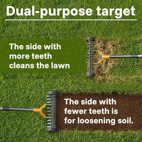 Heavy Duty 15 Inch Dethatching Rake With Wheels 21 Steel Teeth To Clear Thatch And Dead Grass Fast Yard Work Ready Adjustable Long Handle Lawn Rake For Loosening Soil And Gathering Leaves Metal Construction With Smooth Rolling Wheel Design showing dual-purpose function with two sides: one for cleaning lawn, one for loosening soil.