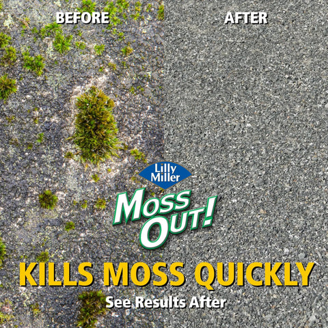 Before and after results of Moss Out Ready To Spray 27Oz Natural Organic Moss Killer For Roofs Walks Decks And Patios Hose End Applicator.