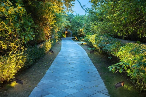 Outdoor pathway lit by One Light Halogen Landscape Floodlight In Dark Bronze Finish, 6.25 Inch Dope Outdoor Lighting Fixture For Yard And Garden