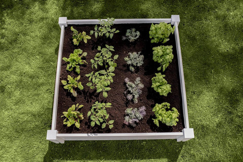 Top view of a White Vinyl Raised Garden Bed 4 Ft By 4 Ft By 11 In Deep, Modular PVC Construction, BPA And Phthalate Free, with plants.