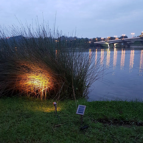 Twin Solar Spotlight Set With Warm White 3000K LED Waterproof Outdoor Garden Yard Pathway Lights illuminating grasses at dusk