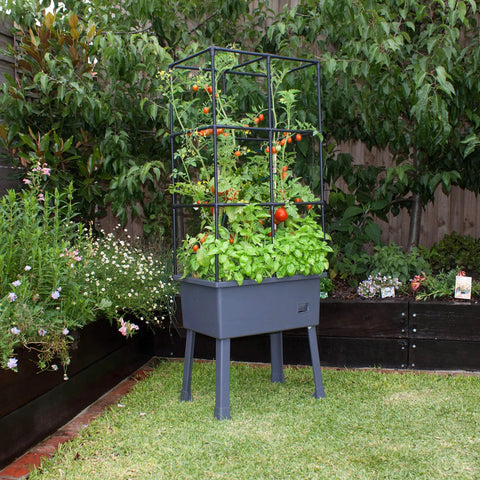 Self Watering Vertical Garden Tower with Trellis Frame and Greenhouse Cover for Vegetables and Flowers 4.35 Gallon Water Reservoir