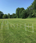 All-In-One Dog Agility Training Course Set with weave poles, octagon hoop, single bar jump on grass field