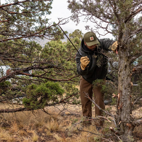 Man using Gator Machete 25 Inch Two In One Machete With 18 Inch Plain Edge Blade And Reverse Saw Textured Gator Grip Handle on a tree.