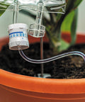 Automatic Indoor Plant Watering System That Keeps Your Houseplants Alive While You Vacation with IV bag and tube setup