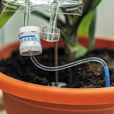 Automatic Indoor Plant Watering System That Keeps Your Houseplants Alive While You Vacation with IV bag and tube setup