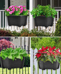 Top Tier Self Watering Wall Planters For Indoor Balcony And Railing Gardens, Dark Coffee Hanging Flower Pots, colorful flowers and greenery in wall planters.