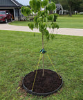 Tree with Built Tough Sturdy Circular Tree Ring Edging Kit For Landscapes Made With Corten Steel Keeps Roots In Check