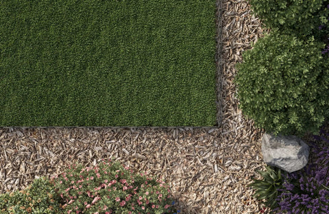 Go-To Classic Wrought-Iron Style Garden Border Fence Kit in black bordering a grassy area with bushes and flowers.